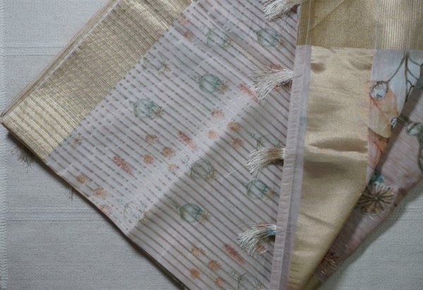 Muted Off-White Organza Double Layer Saree - Image 3