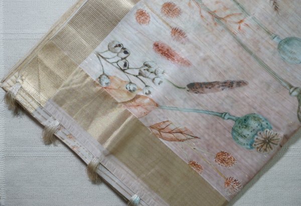 Muted Off-White Organza Double Layer Saree - Image 2