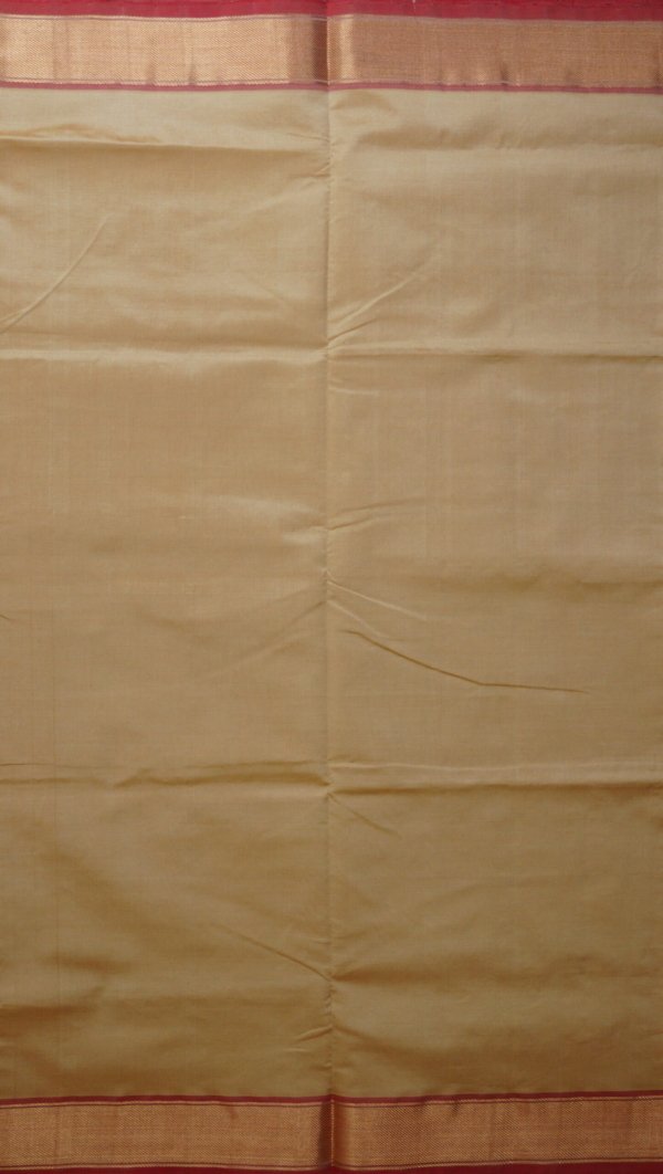 Pale Gold Pure Cotton Silk Handloom Saree - Image 3